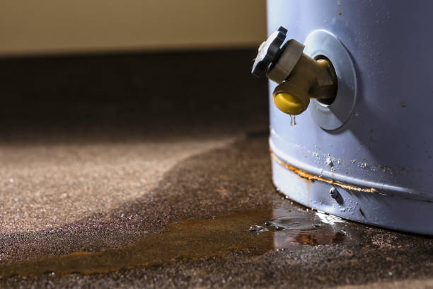 Best Commercial water damage restoration  in Chesterfield, MO