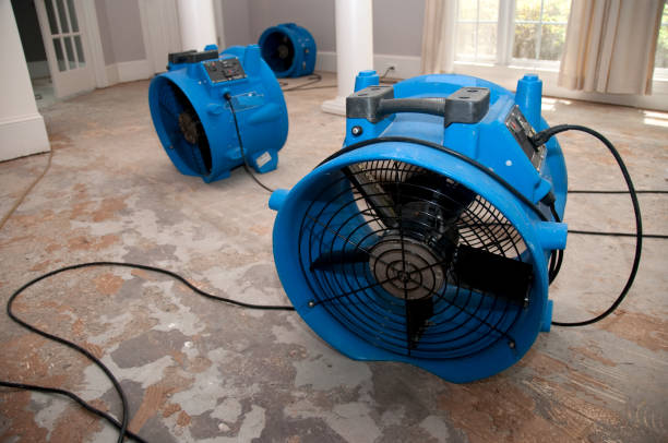 Best Water damage cleanup near me  in Chesterfield, MO
